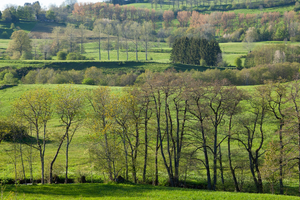 Vidange Fosse Septique Rosny-sous-Bois